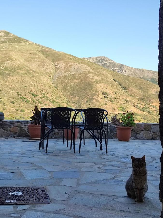 Grandma Agatha & Virginia'S Stonehouse Διαμέρισμα Κεφάλι Εξωτερικό φωτογραφία